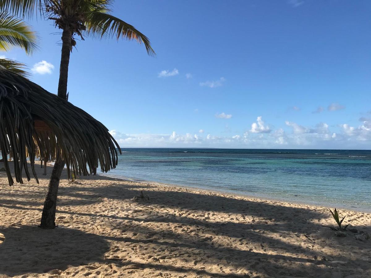 Brin D'Ile Anse Des Rochers Vue Mer A 50 M De La Plage Et Piscine サン・フランソワ エクステリア 写真