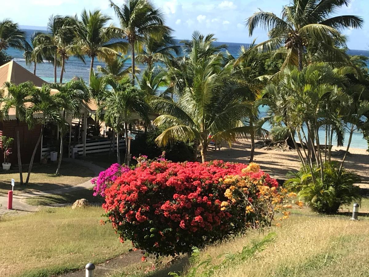 Brin D'Ile Anse Des Rochers Vue Mer A 50 M De La Plage Et Piscine サン・フランソワ エクステリア 写真