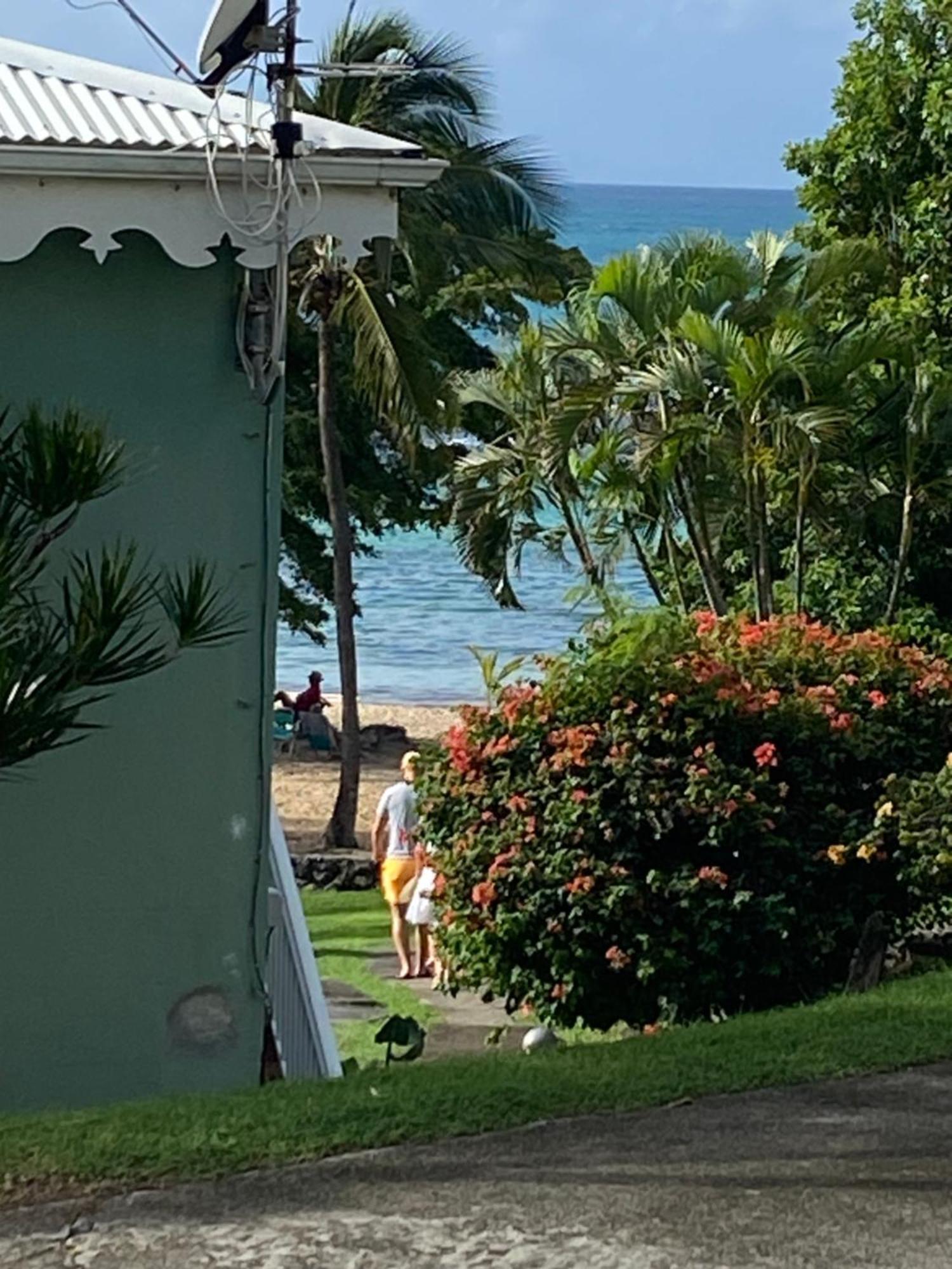Brin D'Ile Anse Des Rochers Vue Mer A 50 M De La Plage Et Piscine サン・フランソワ エクステリア 写真