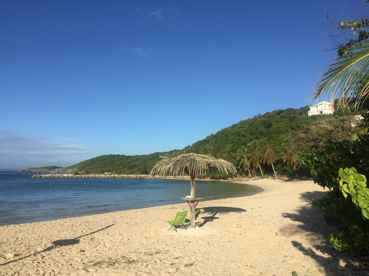 Brin D'Ile Anse Des Rochers Vue Mer A 50 M De La Plage Et Piscine サン・フランソワ エクステリア 写真
