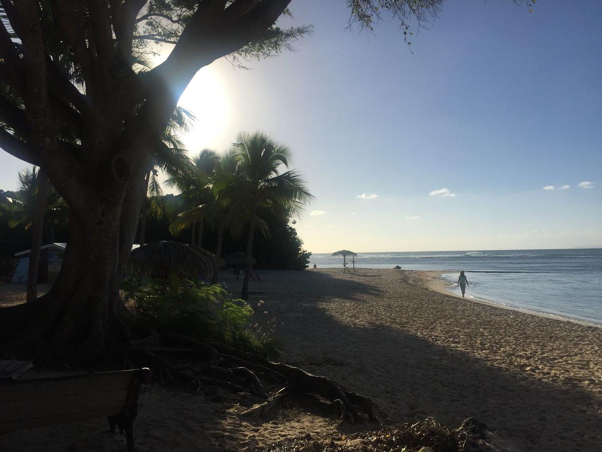 Brin D'Ile Anse Des Rochers Vue Mer A 50 M De La Plage Et Piscine サン・フランソワ エクステリア 写真
