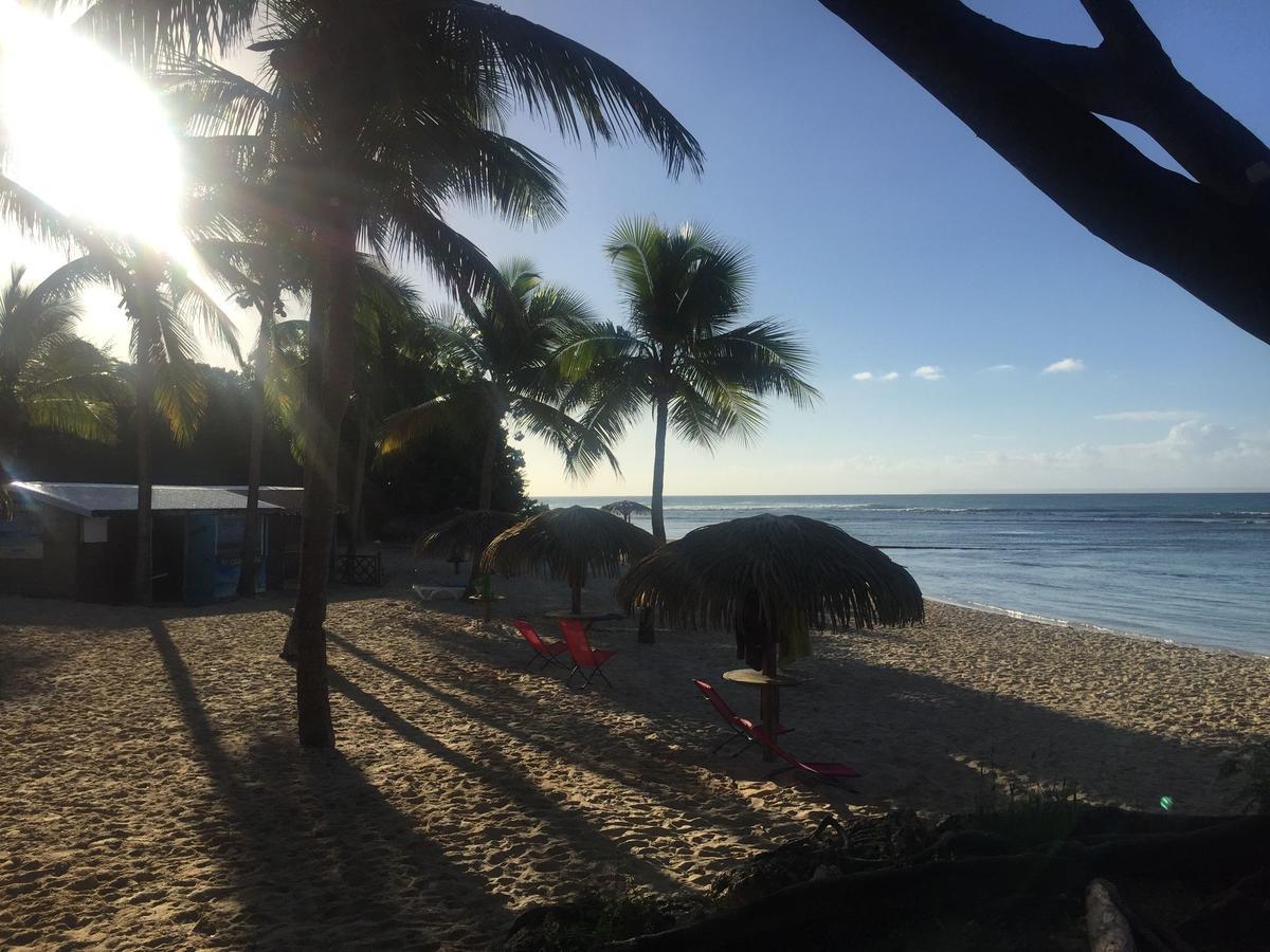 Brin D'Ile Anse Des Rochers Vue Mer A 50 M De La Plage Et Piscine サン・フランソワ エクステリア 写真