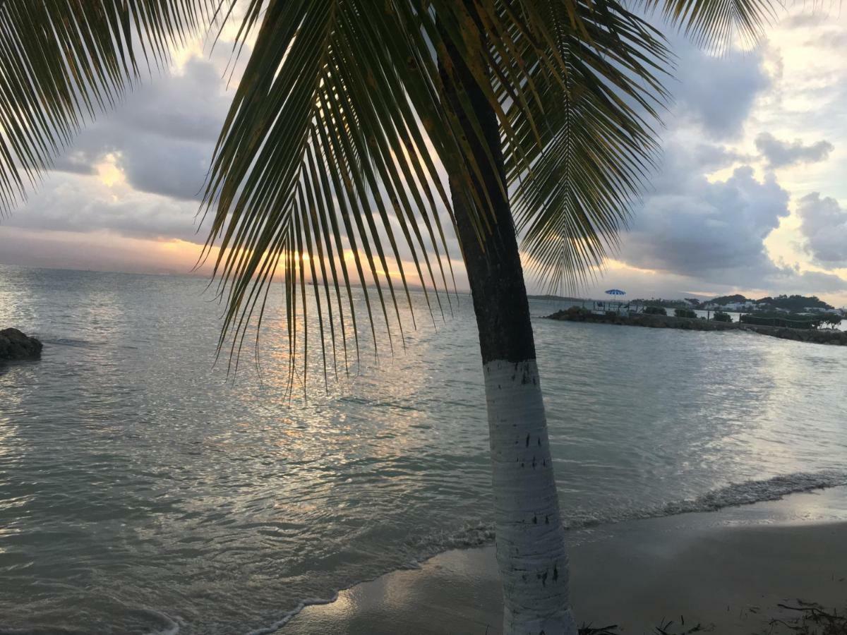 Brin D'Ile Anse Des Rochers Vue Mer A 50 M De La Plage Et Piscine サン・フランソワ エクステリア 写真