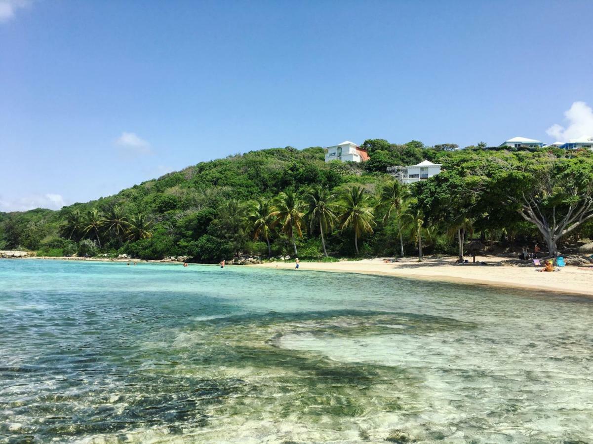Brin D'Ile Anse Des Rochers Vue Mer A 50 M De La Plage Et Piscine サン・フランソワ エクステリア 写真